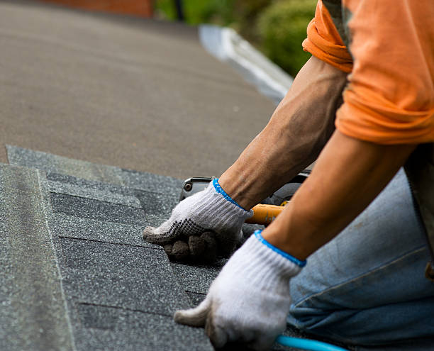 Best Local Roofing Companies  in Marysville, KS